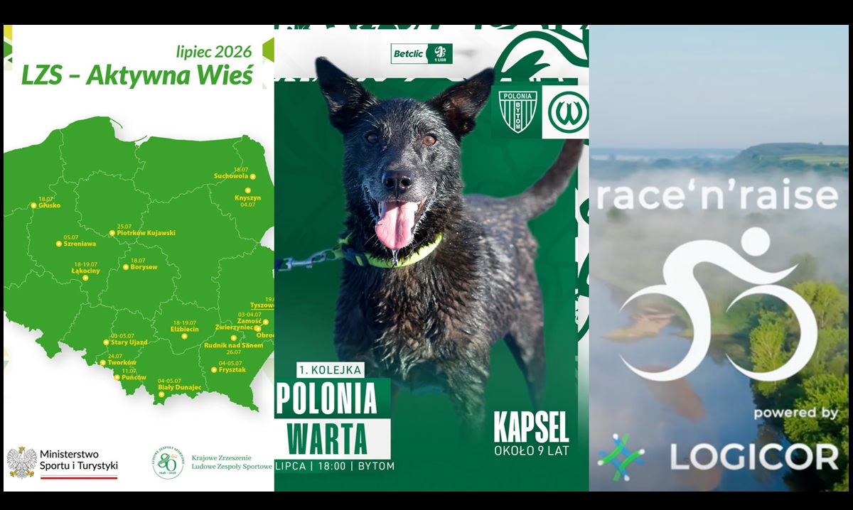 CSR w polskim sporcie 13